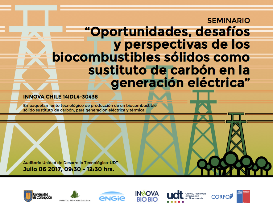 Flyer biocombustible sustituto3.1