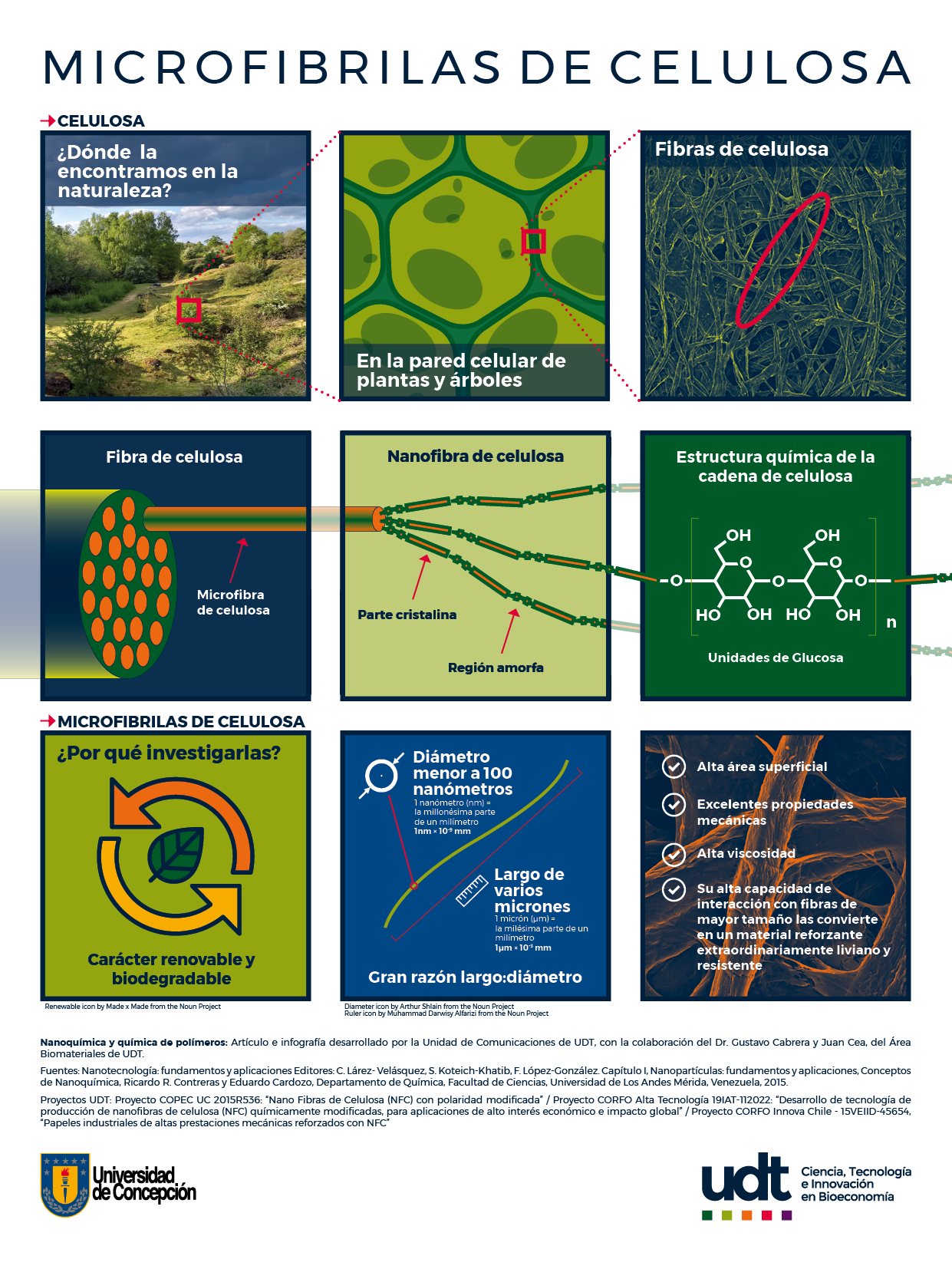 Infografía Nano - Microfibrilas de celulosa