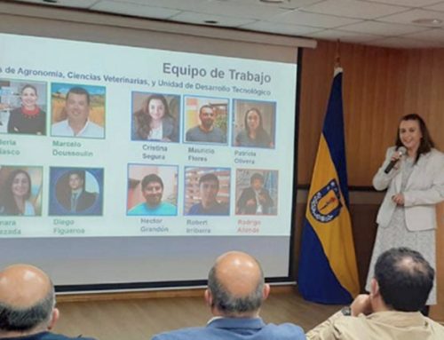 Sector público, privado y academia destacan al biocarbón como el diamante de Ñuble para la avicultura