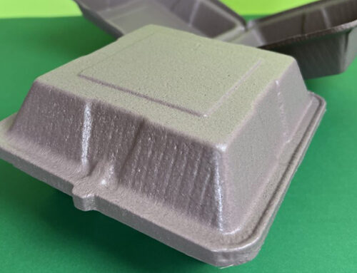 Proyecto UdeC busca sustituir plásticos de un solo uso con envases biodegradables a base de orujo de uva